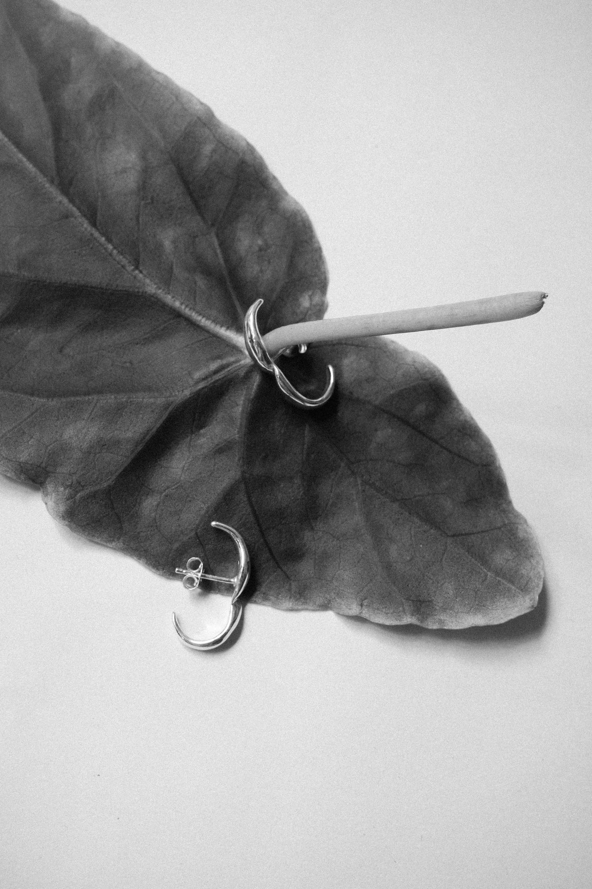 VINE Huggie Earrings