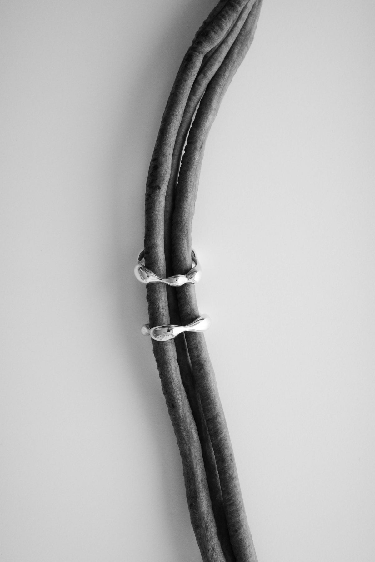 NUCLEUS Ring
